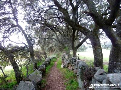 Molinos Río Perales; agencias de senderismo madrid; rutas y senderismo madrid;mejor mochila trekkin